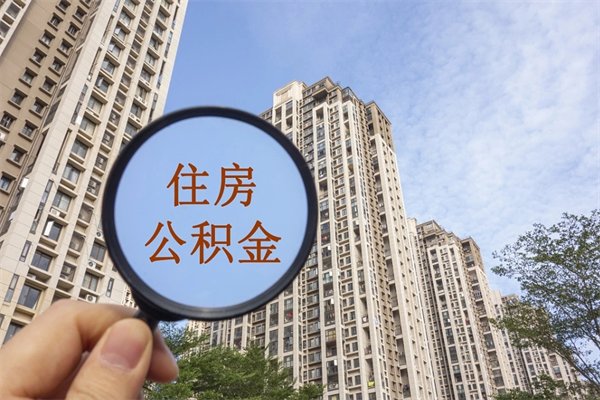 鹤壁离职多久可以取住房公积金（离职多久后能取公积金）